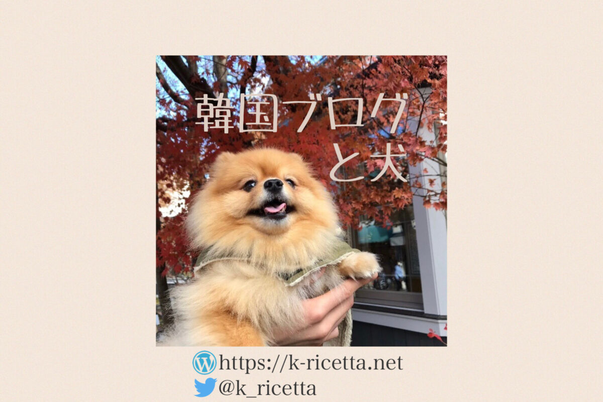 韓国ブログと犬 | ページ 15 | 韓国ドラマ・バラエティの感想と解説ブログ