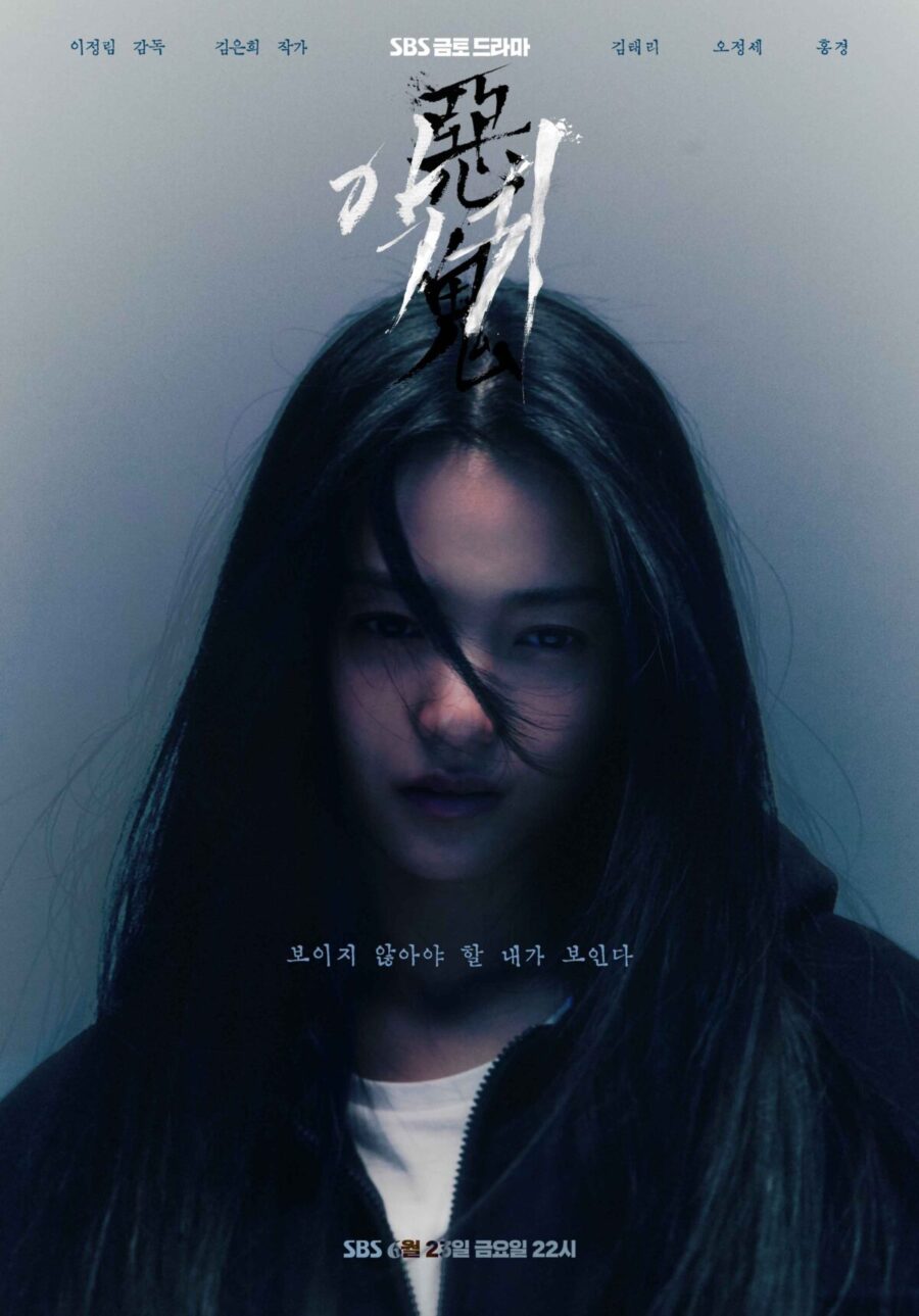 キムテリ主演【悪鬼(韓国ドラマ)】あらすじ キャストex 相関図|ディズニープラス配信 | 韓国ブログと犬
